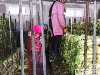 门店行业有哪些？