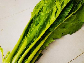 农村常见青菜有哪些？