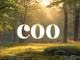 coo是什么意思啊？