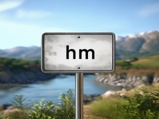 单位hm是啥意思？