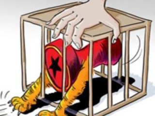 医疗组长岗位职责