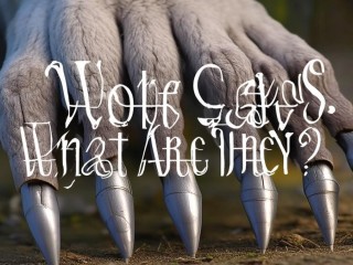 狼爪究竟是什么？