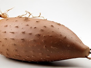 芋头长什么样？特征有哪些？