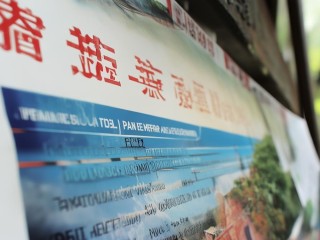 嵊州公开招聘小学，有何具体要求？