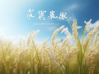 稻花香是字面稻花之香，还是另有深层意蕴？