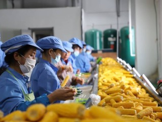 玉米加工方式有哪些？