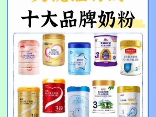 知名品牌奶粉有哪些？