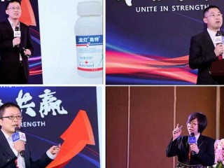 保健经理的核心职责具体包含哪些内容？