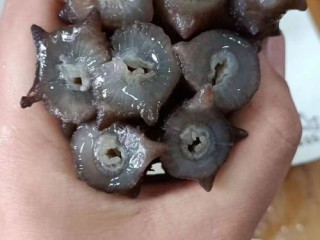 大连知名海参品牌有哪些？