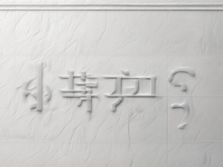 布拖公开考试招聘何时开始？