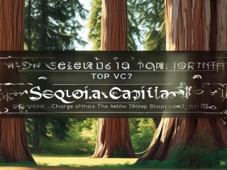 红杉资本是顶级VC吗？它如何改变创业生态？