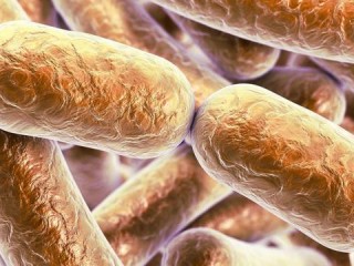 减肥医生具体职责有哪些？