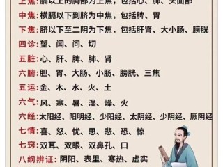 国医具体包含哪些内容？