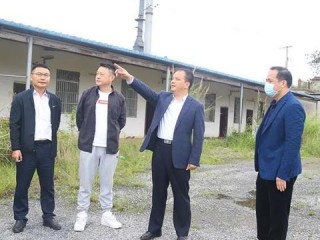 广西百色中小学教师公开招聘的条件及流程有哪些？
