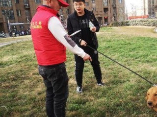 宠物医师岗位职责