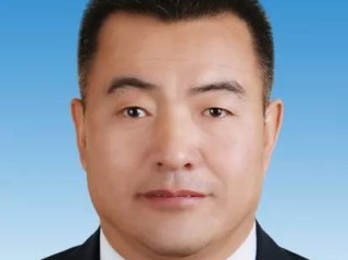 文档人员具体职责范围有哪些？