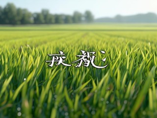 禾田二字具体指什么？