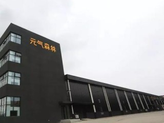 CQO具体负责哪些核心工作？