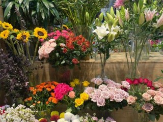 花店都有哪些鲜花