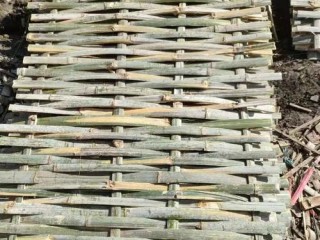 建材竹有哪些种类？