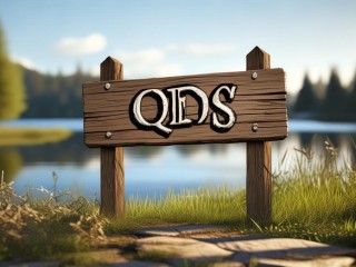 qds是什么意思？