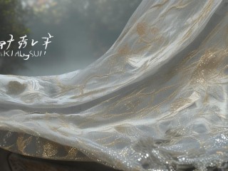 杭丝究竟是什么？