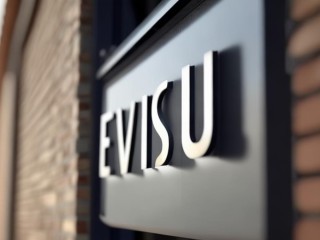 evisu是啥？品牌名还是其他含义？