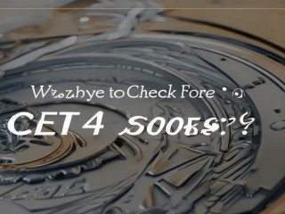 四级成绩何时查？