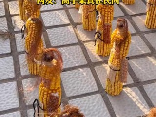 玉米加工方式有哪些？