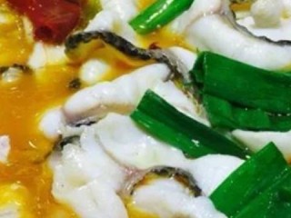 美食有哪些代理