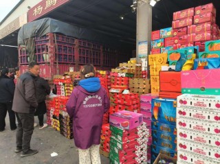 批发项目有哪些？热门类型有哪些？