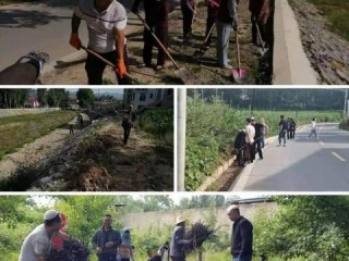 企业信息怎么查才能更准确？