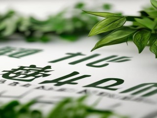 广西贵港系统招聘何时开始报名？