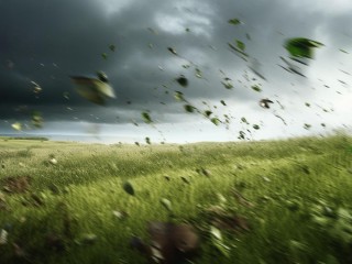 劲风一词具体指多大的风？