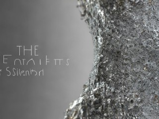 雷同的界限究竟在哪里？