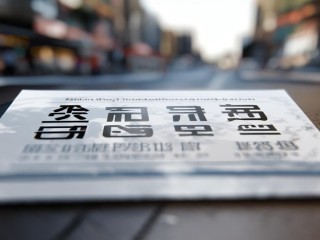 2025张浦公开招聘