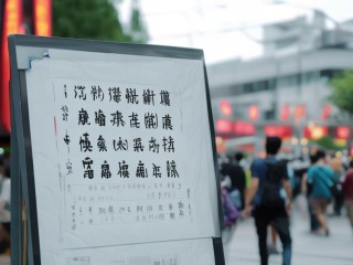 东莞市镇区公开招聘，何时何岗招考？