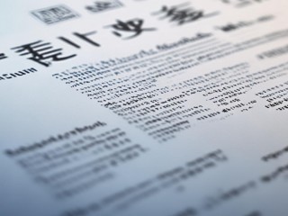 达旗苏镇财政所招聘条件有哪些？