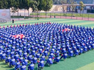 园林科员具体职责有哪些？