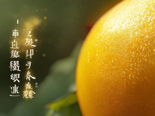 菩提果有什么功效