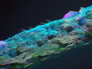 海蕴究竟是什么？