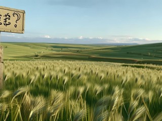 沃野何意？其内涵与所指为何？