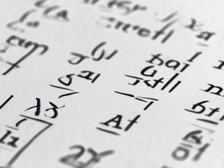 峄城区公开招聘面名单有哪些人？