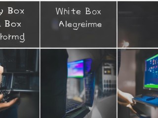 灰盒测试与黑盒、白盒测试有何区别？