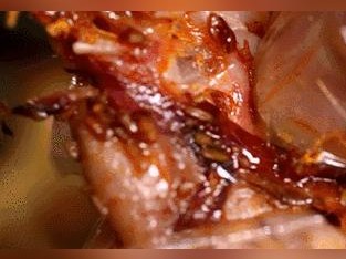 四川卤味品牌哪家强？