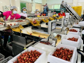 广州甜品工厂有哪些