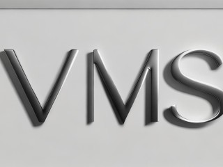 VMS究竟指什么？