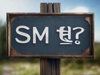 SM服是什么？求解释！