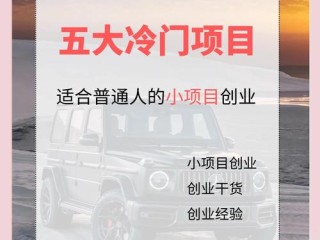 冷门创业选哪些？小众赛道机会在哪？