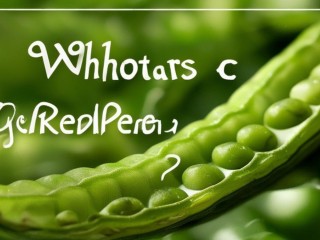 青豆到底是什么？